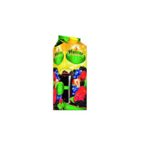 PFANNER SUC FRUCTE PADURE BCE 2L