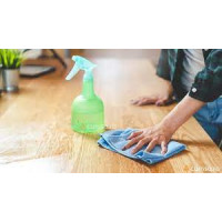 SPRAY MOBILA
